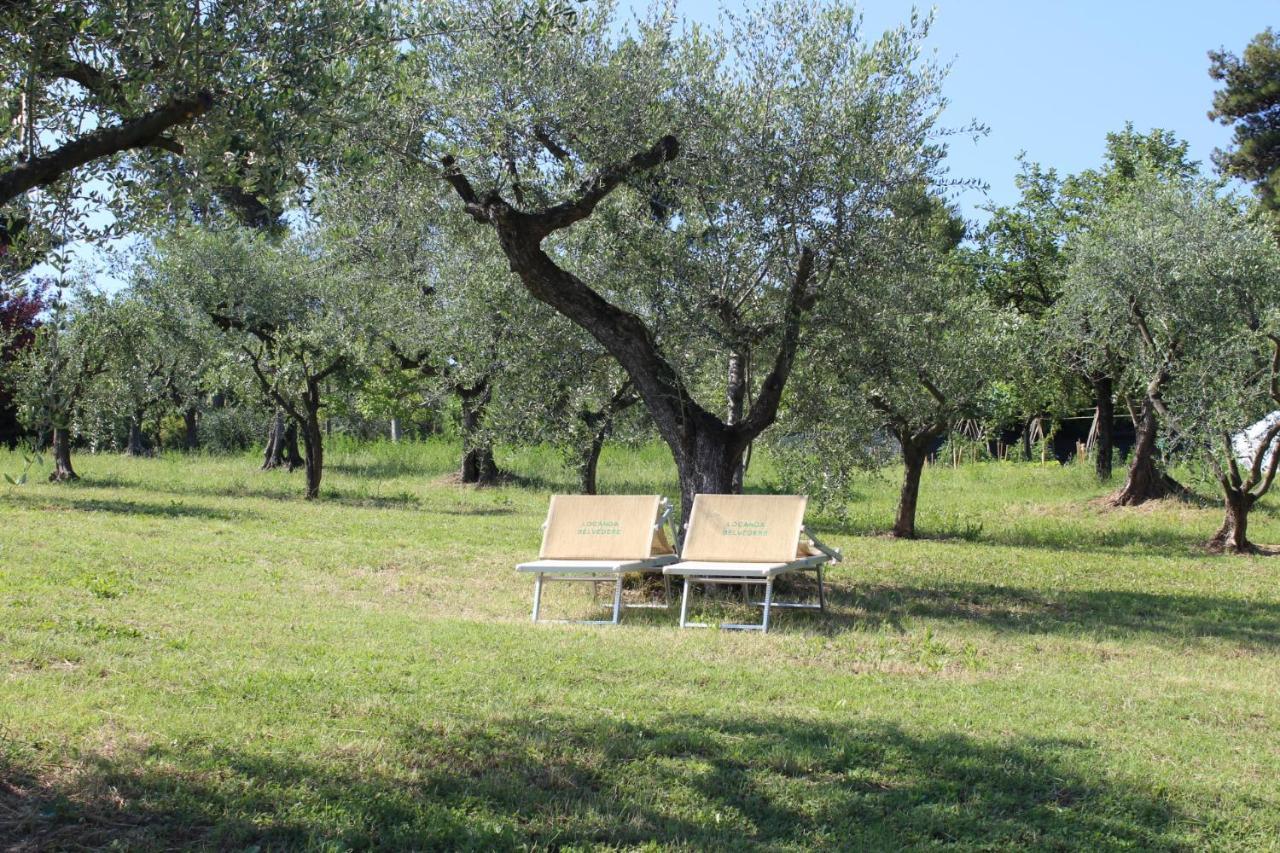 Agroturismo Belvedere *