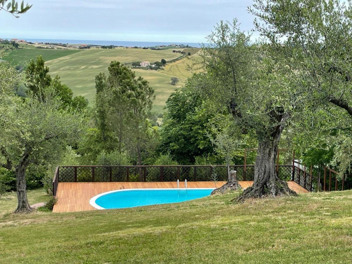 Belvedere