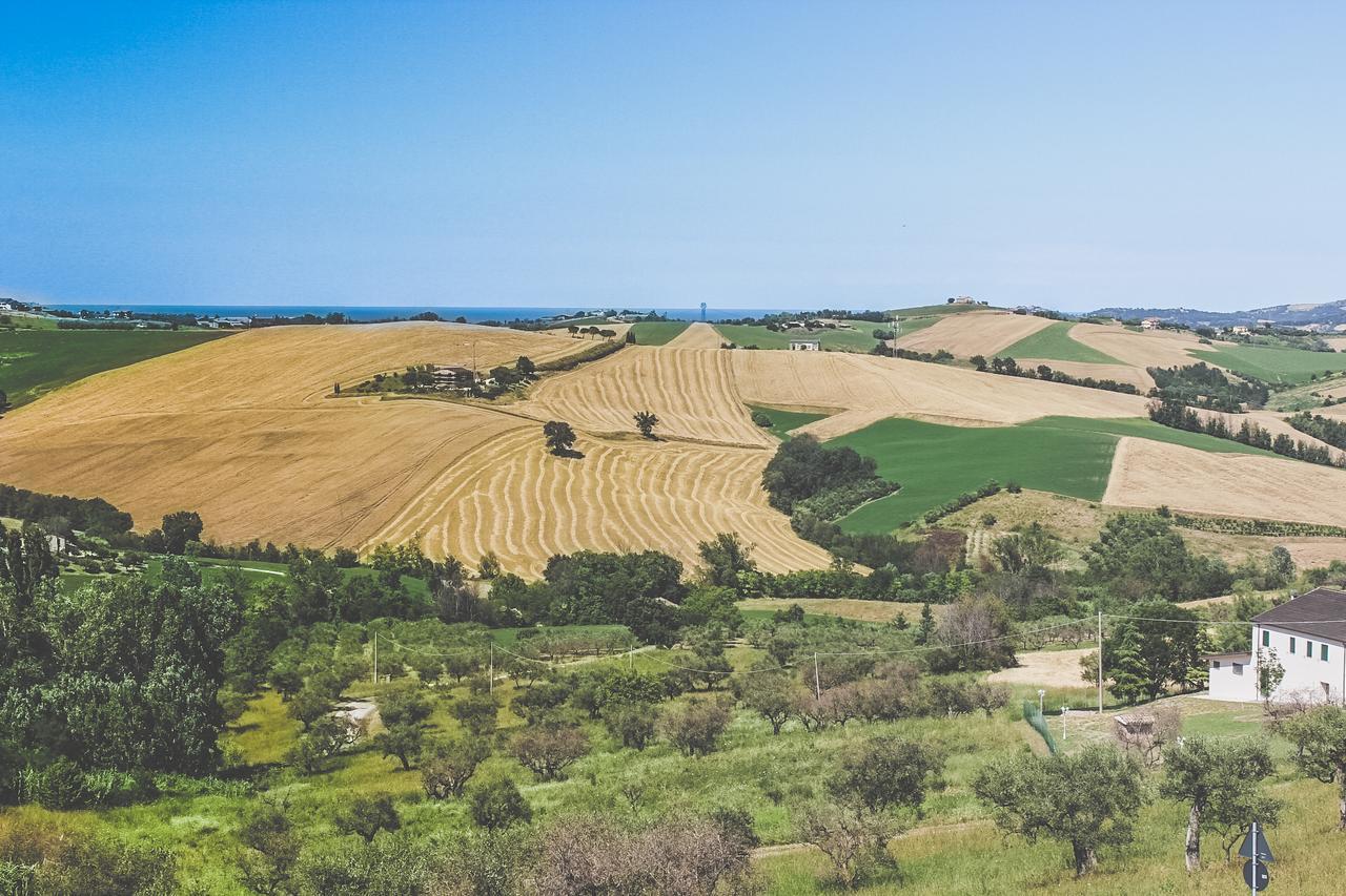 Belvedere